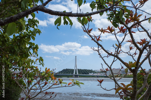 沖縄県那覇市の漫湖ととよみ大橋の見える風景 photo