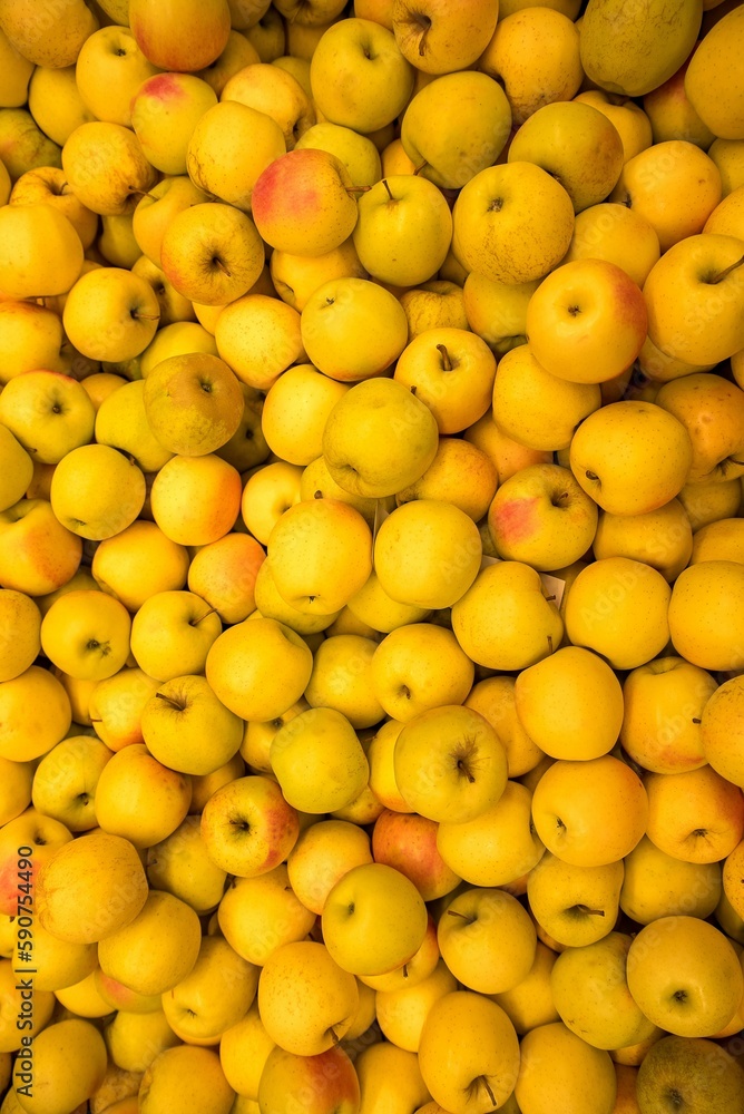 Closeup of bunch of apples in market Closeup of bunch of apples in market
