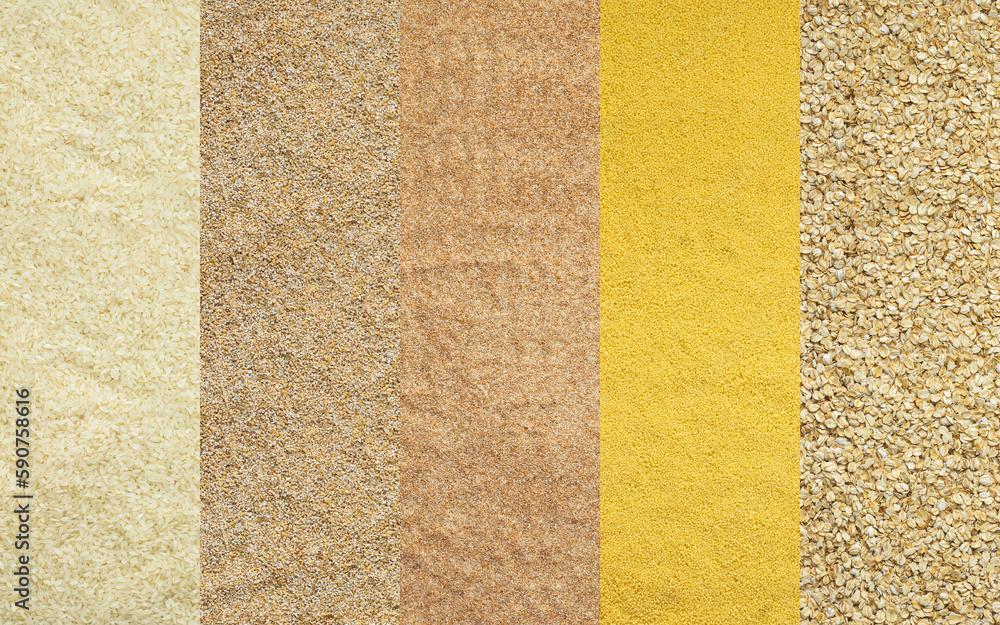 Various grain cereals banner, top view, white rice and wheat grits, couscous and oats Various grain cereals banner, top view, white rice and wheat grits, couscous and oats
