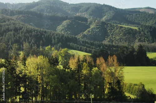 Beautiful shot of a green mountainous landscape