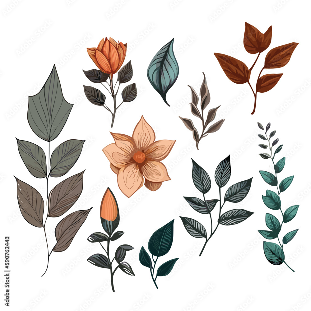 Hand drew Wager color leaf illustration set. pattern with leaves.Various types of leaves. Hand drew Wager color leaf illustration set. pattern with leaves.Various types of leaves.