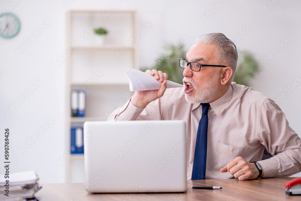 Old male employee working in the office