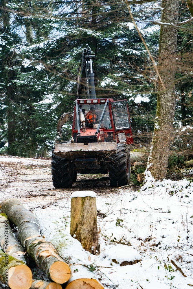 Heavy machinery cutting trees in a winter forest Heavy machinery cutting trees in a winter forest