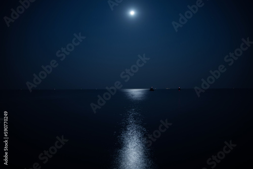 Fotografie, Obraz Calm sea illuminated by the moonlight at night