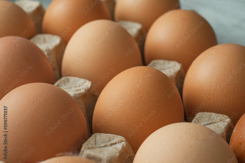 Raw eggs in carton container Raw eggs in carton container