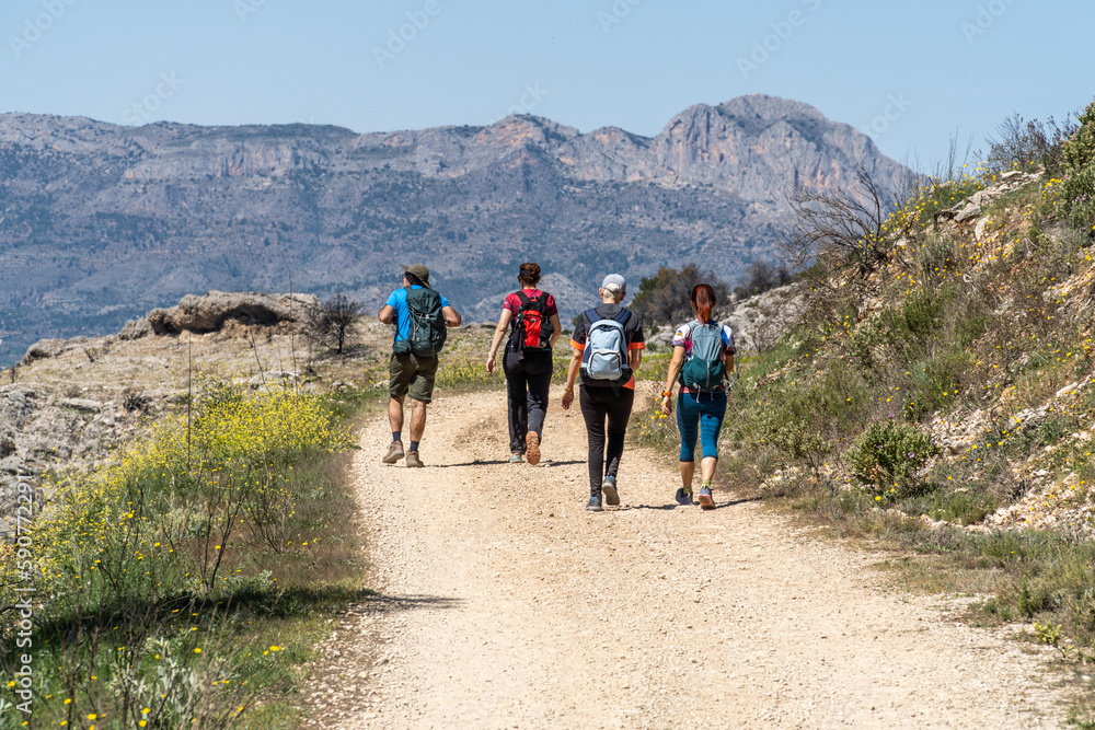 Hikers walk down a stony path on a sunny spring day