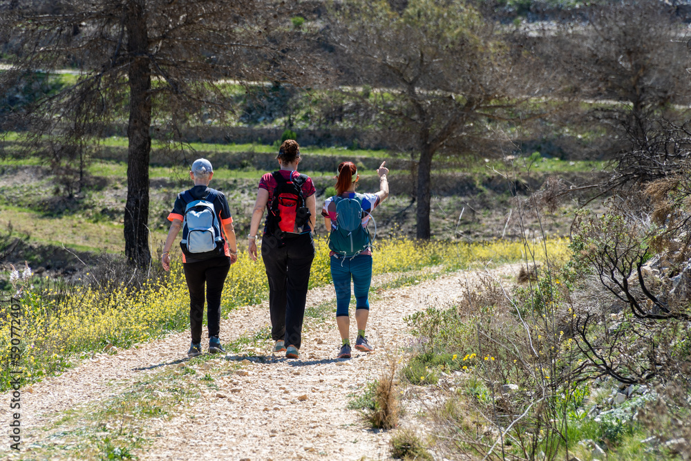 Three female hikers walking down a path on a sunny spring day