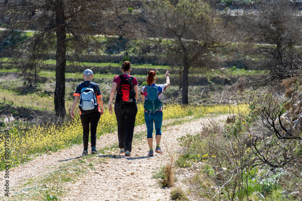 Three female hikers walking down a path on a sunny spring day Three female hikers walking down a path on a sunny spring day