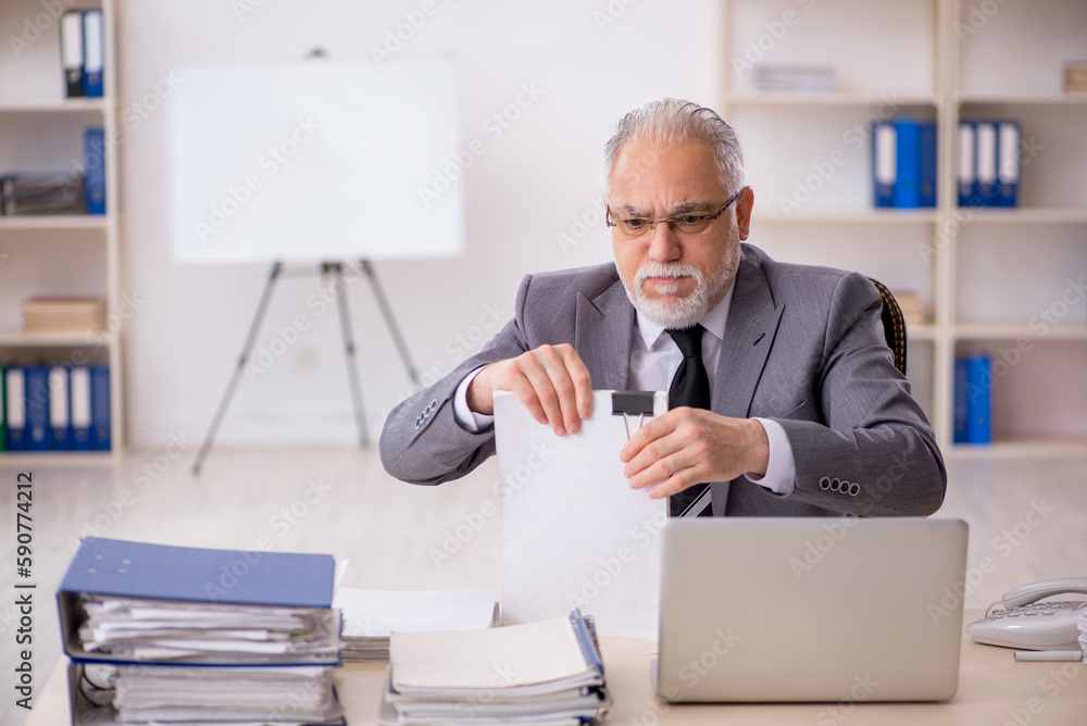 Old male employee working in the office Old male employee working in the office