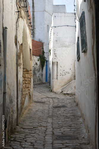 Narrow Back Alley in Tunis Medina, Portrait © Globepouncing