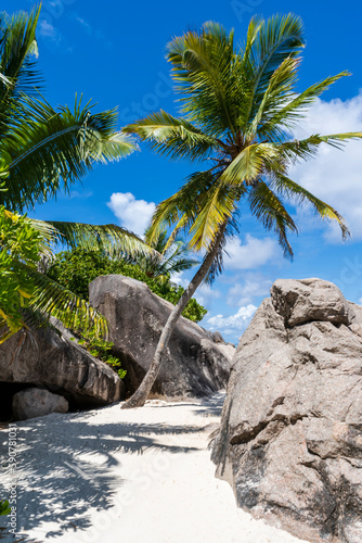 Seychelles La Digue Island beaches offer a unique and unforgettable experience for visitors seeking seclusion, natural beauty, and relaxation. 