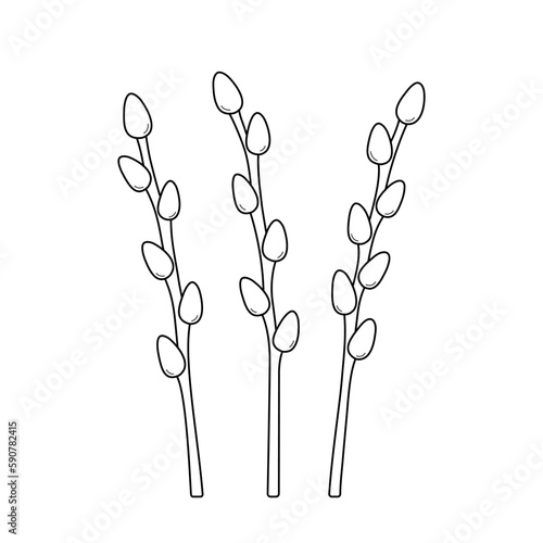 Set of pussy willow branches. Spring easter plants in hand drawv doodle line style. Palm Sunday. Isolated vector illustration.