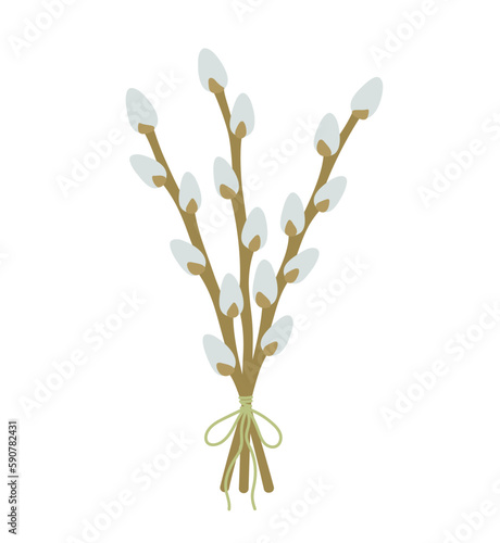 Willow bouquet. Spring easter plants. Palm Sunday. Three pussy willow branches tied with a rope. Hand-drawn colored flat vector illustration isolated on white background.