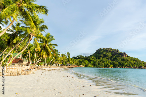 Fototapeta Naklejka Na Ścianę i Meble -  Seychelles beaches offer a range of benefits and attractions that make them a desirable destination for many travelers. beautiful palm trees, beach and sea