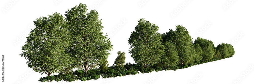 forest landscape, natural border with green trees and shrubs, isolated on transparent background