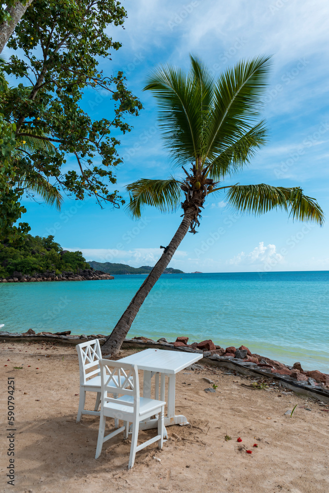 Seychelles beaches offer a range of benefits and attractions that make them a desirable destination for many travelers. beautiful palm trees, beach and sea