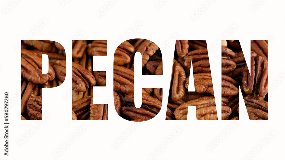 Raw and roasted coffee beans. Different degrees of roasting coffee beans Raw and roasted coffee beans. Different degrees of roasting coffee beans