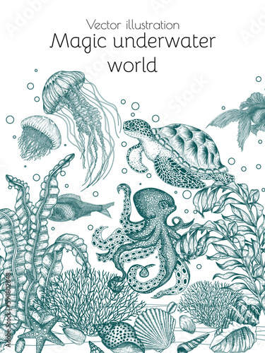 Vector nautical frame in engraving style. Shells, octopus, sea turtle, jellyfish, starfish, fish, algae, coral