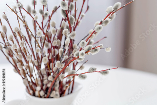 A bouquet of Willow twigs for the Orthodox holiday Palm Sunday. Willow in a white jug in the interior of a modern white kitchen