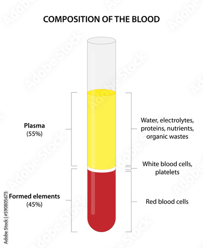 The Composition of Whole Blood