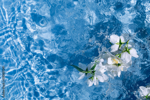 White jasmine flowers in blue transparent water. Summer floral composition with sun and shadows. Nature concept. Top view. Selective focus
