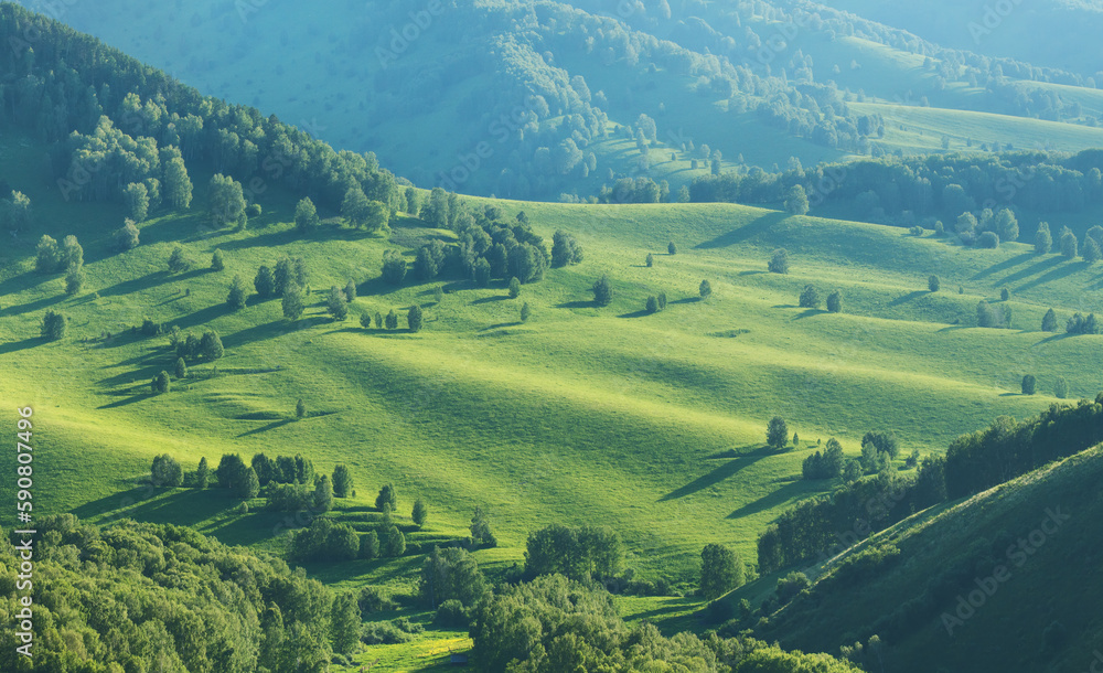 Green hillsides in the evening light, spring greenery