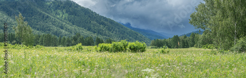 Summer mountain landscape  meadow and stormy sky  contrasting light