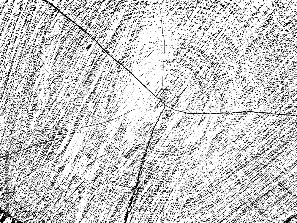Vector grunge texture of an old tree slice with cracks, grains, and concentric circles. Monochrome background. Use for vintage, rustic, and abstract designs