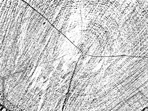 Vector grunge texture of an old tree slice with cracks, grains, and concentric circles. Monochrome background. Use for vintage, rustic, and abstract designs