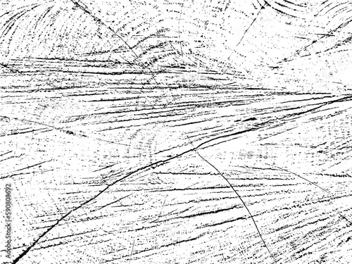 Unique Vector grunge texture of a willow cross-section on organic monochrome sawn log background with cracks. Ideal for texture overlays, stencils, and adding a raw, organic feel to designs