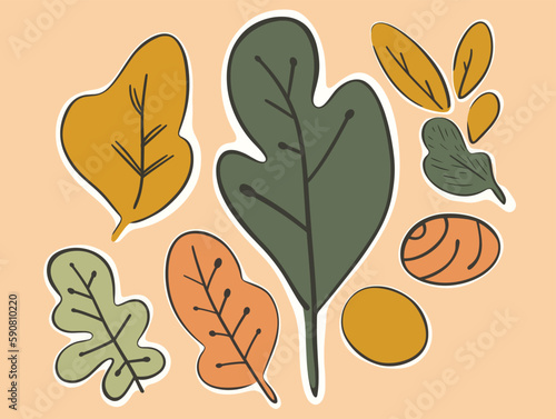 Set of autumn leaves in doodle style. Vector illustration.