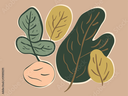 Illustration of a set of leaves in retro style. Vector illustration.