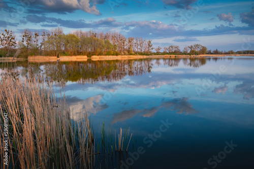 Reflection of clouds in the water of a calm lake and trees on the horizon, Stankow, Poland