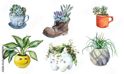 Houseplants in funny flower pots. Watercolor illustration