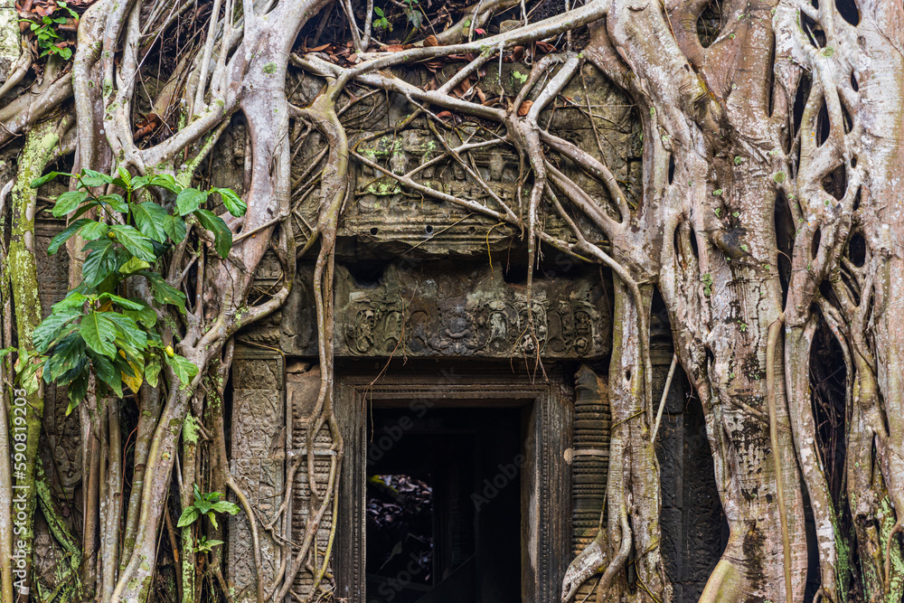 A mystery entrance door in Ta Prohm temple in Angkor Wat, Cambodia