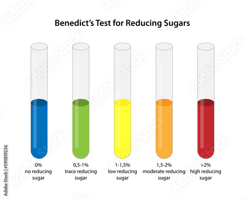 Benedict's Test for Reducing Sugars