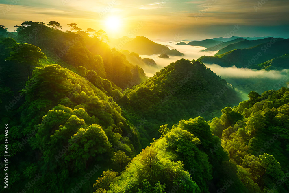 Mountain landscape with mist and sunrise. Beautiful nature background. Aerial view
