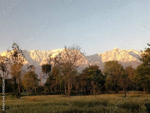 Dhauladhar Mountains photo