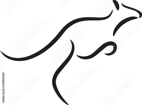 vector kangaroo animal drawing
