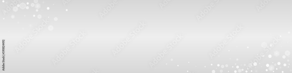 Silver Snow Vector Grey Panoramic Background.