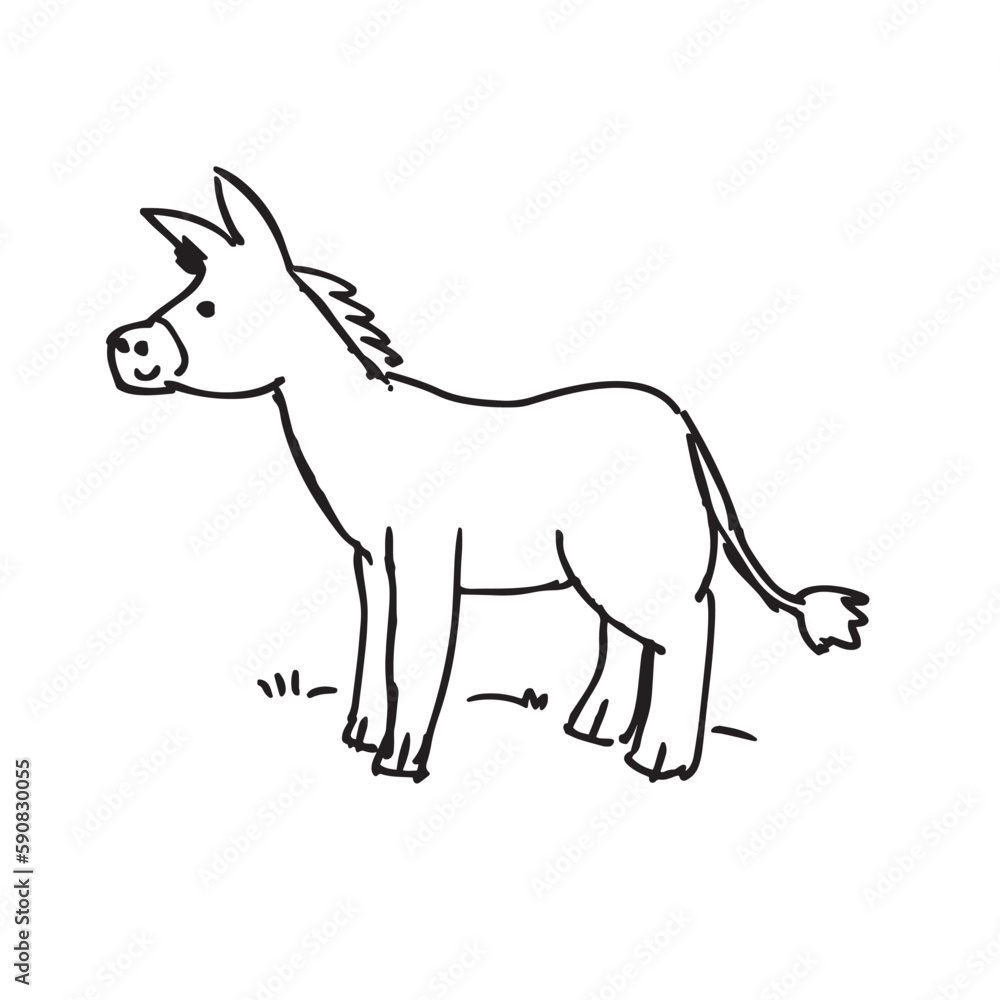 illustration of a donkey , vector hand drawn doodle