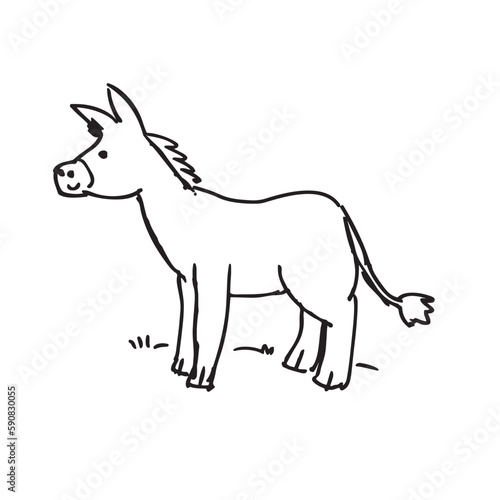 illustration of a donkey   vector hand drawn doodle