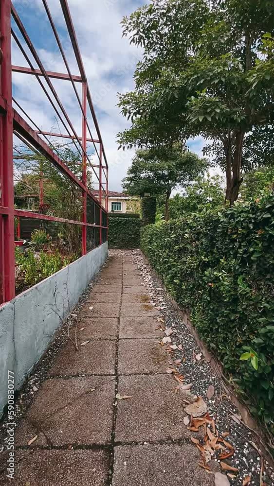 walking through a garden, bridge, wooden, wood, nature, path, landscape, walkway, green, sky, stairs, forest, river, tree, way, water, boardwalk, park, road, footbridge, footpath, walk, summer, travel walking through a garden, bridge, wooden, wood, nature, path, landscape, walkway, green, sky, stairs, forest, river, tree, way, water, boardwalk, park, road, footbridge, footpath, walk, summer, travel