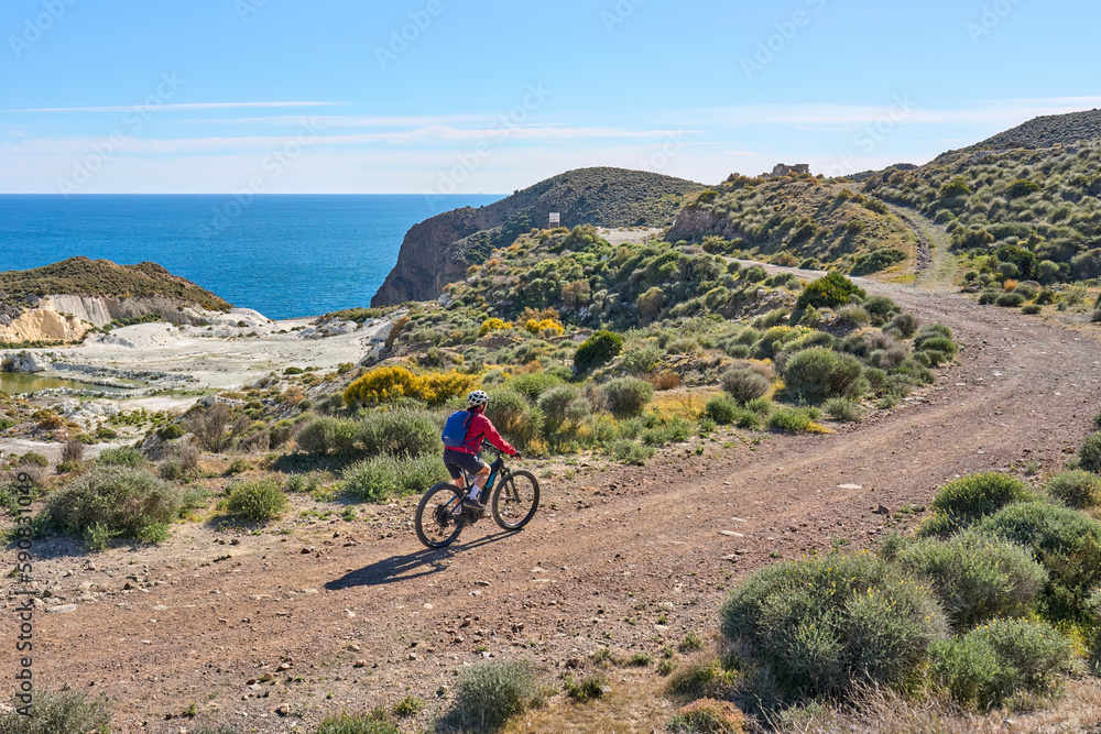 Woman del sol sales bikes