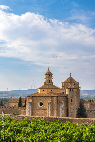 Royal Abbey of Santa Maria de Poblet  cistercian monastery  Catalonia  Spain