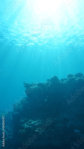 Look up at the water surface in the sea © travelers.high