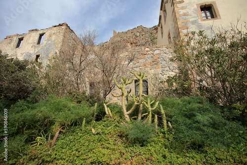Monemvasia (Peloponnese, Greece) - Cacti and oleanders growing in front of old tenement houses.