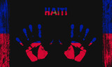 Vector flag of Haiti with a palm