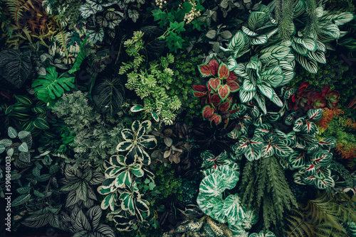 Close up group of background tropical green leaves texture and abstract background. Tropical leaf nature concept.