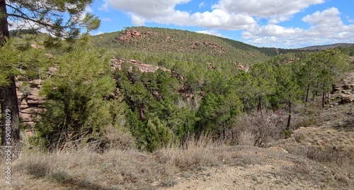 Vistas desde el mirador de "Pinares de rodena", paisaje protegido de la Sierra de Albarracín, Teruel